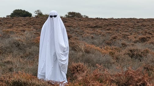 A person dressed up as a ghost on Dunwich Heath